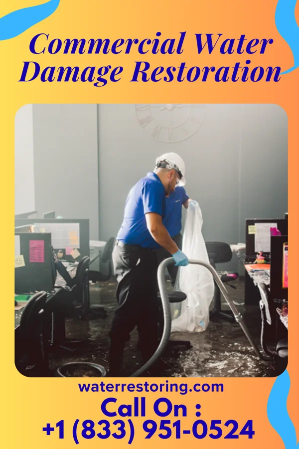 Commercial Water Damage Restoration in Pinehaven, NM